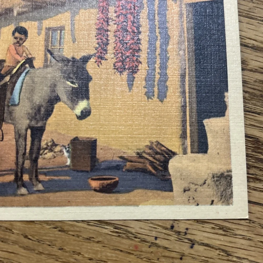 Postcard Fred Harvey - First Riding Lesson in Arizona - Native American